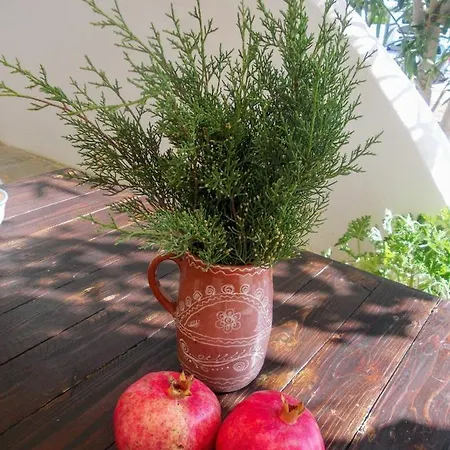 Nyfes Traditional Boutique Vagelio